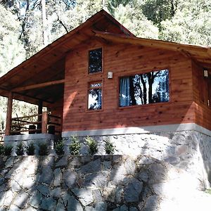 Cabañas Alpinas López Fontes